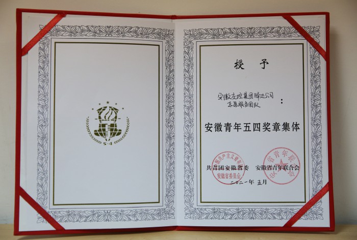 驿达志愿服务团队荣获安徽五四青年奖章集体称号